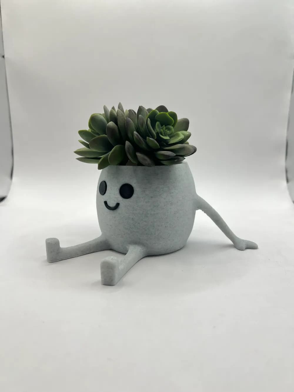 Pot Happy - Mini Jardinière Succulente - Image 2