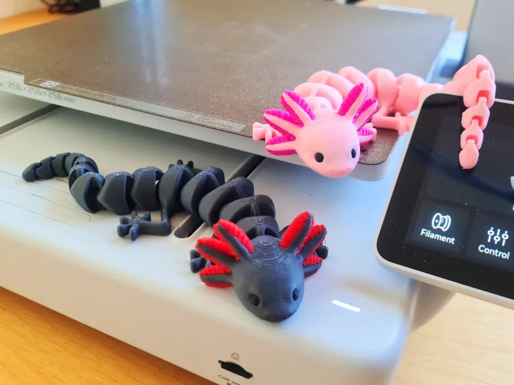 Axolotl Articulé Multicolore