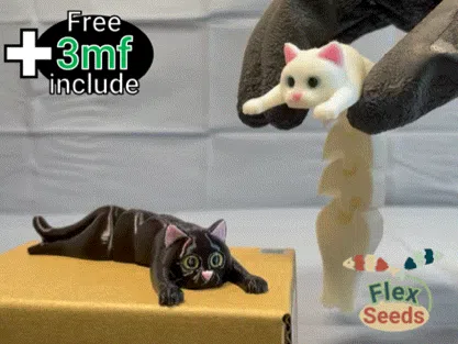 Chat Câlin Flexible