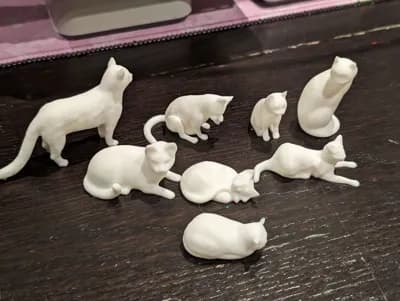 Collection de Chats - Image 3