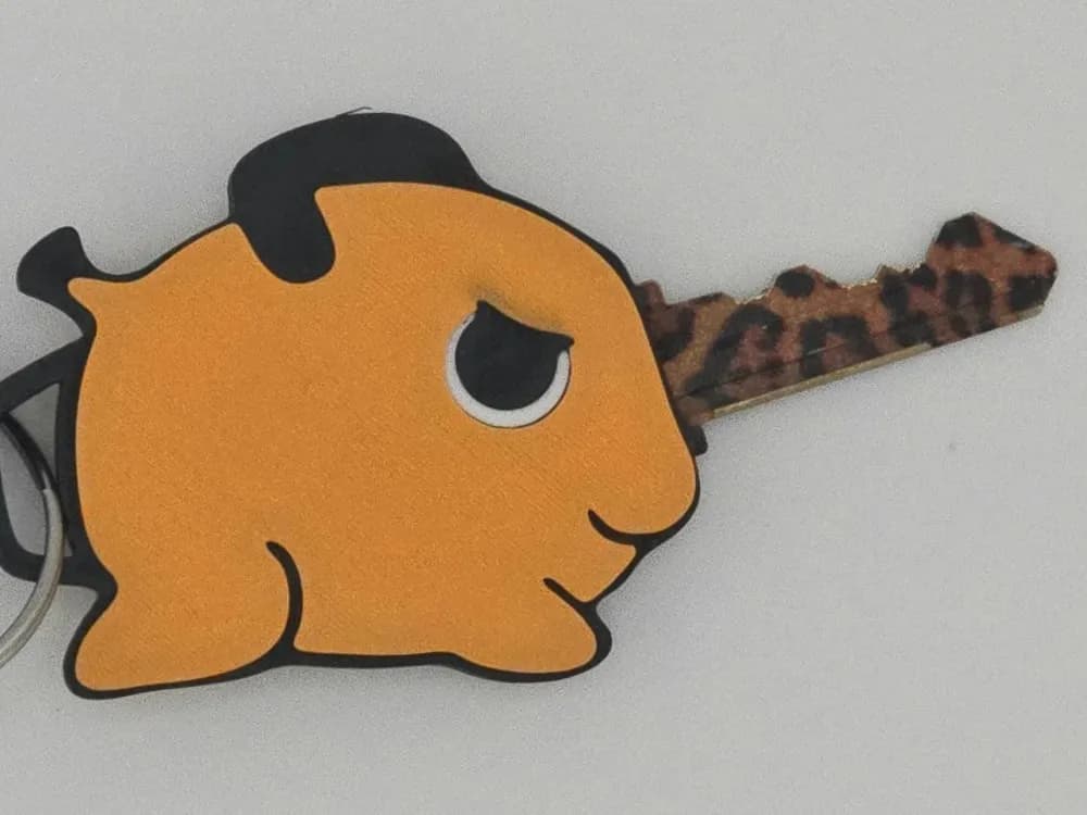 Pochita cache clé