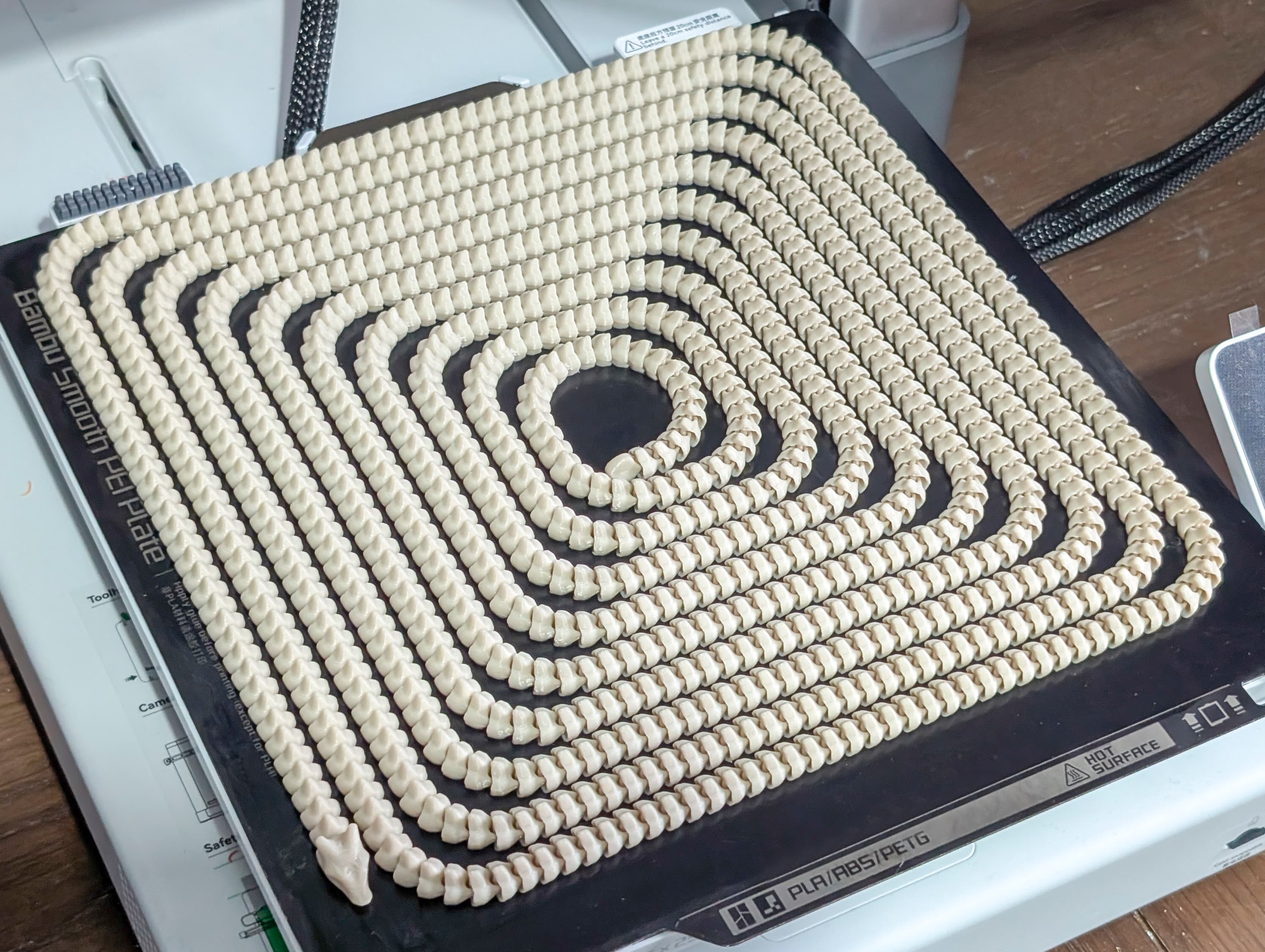 Cm Tiny Flexible Spiny Dragon - Image 5