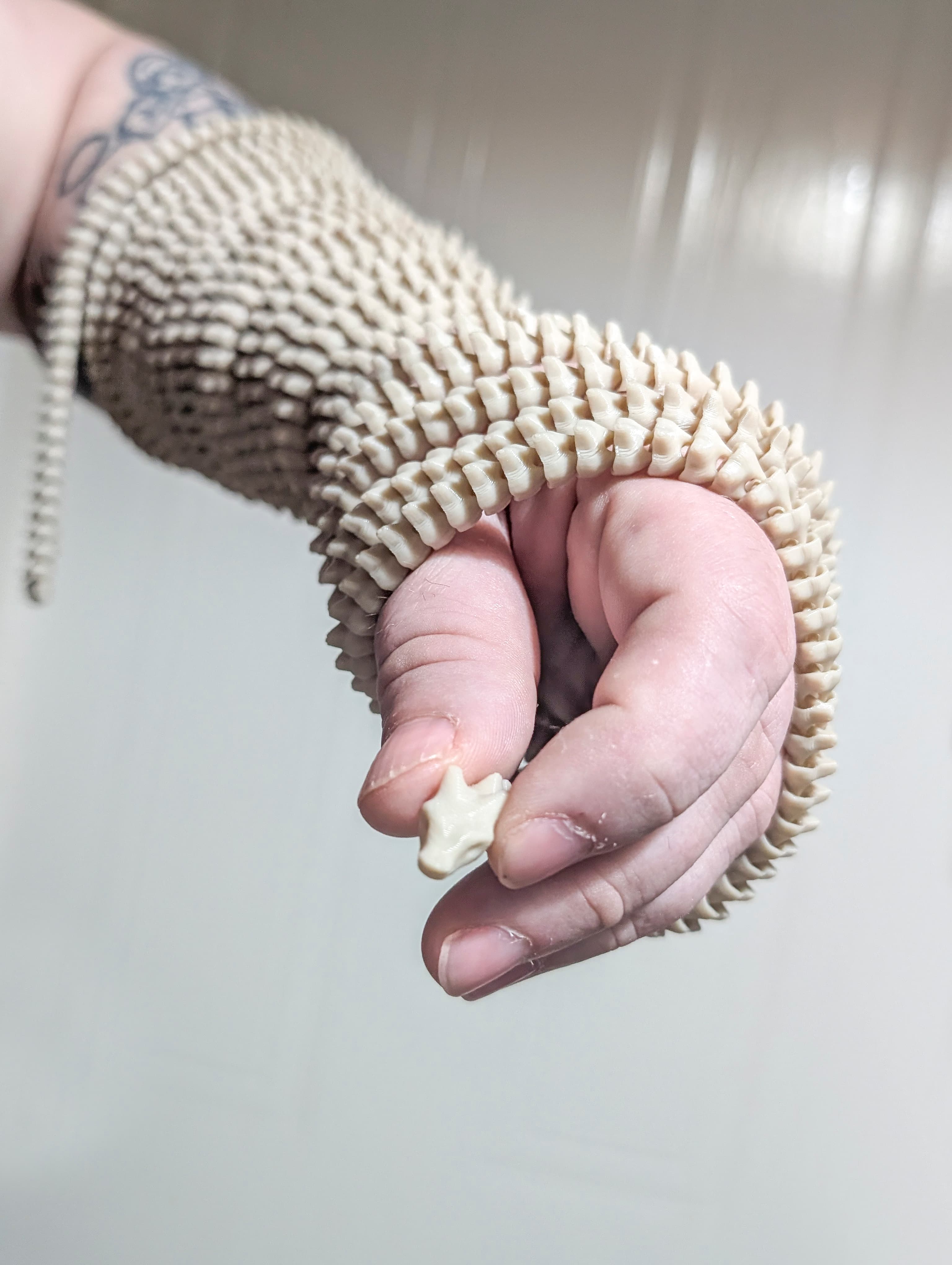 Cm Tiny Flexible Spiny Dragon - Image 4