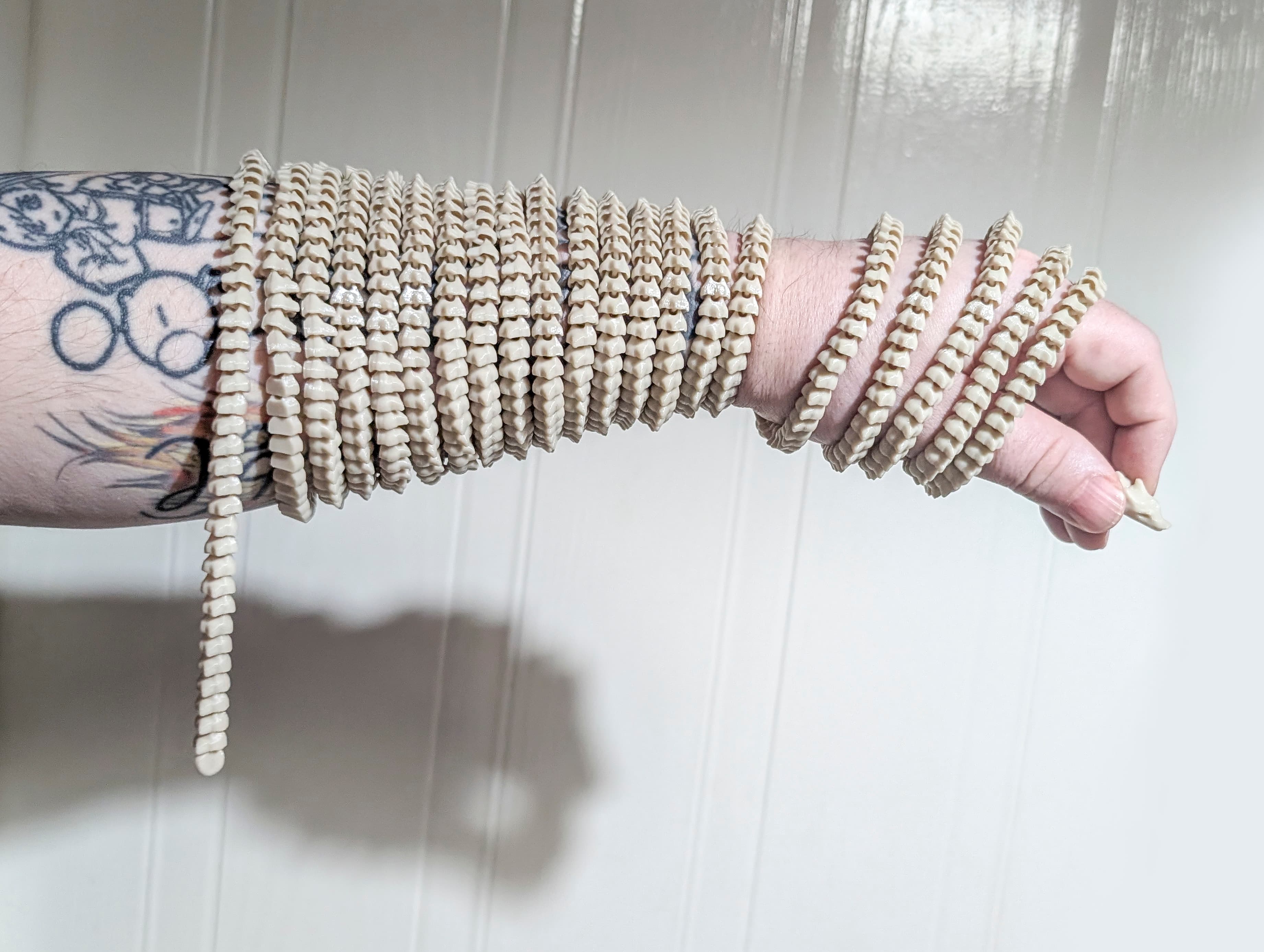 Cm Tiny Flexible Spiny Dragon - Image 2