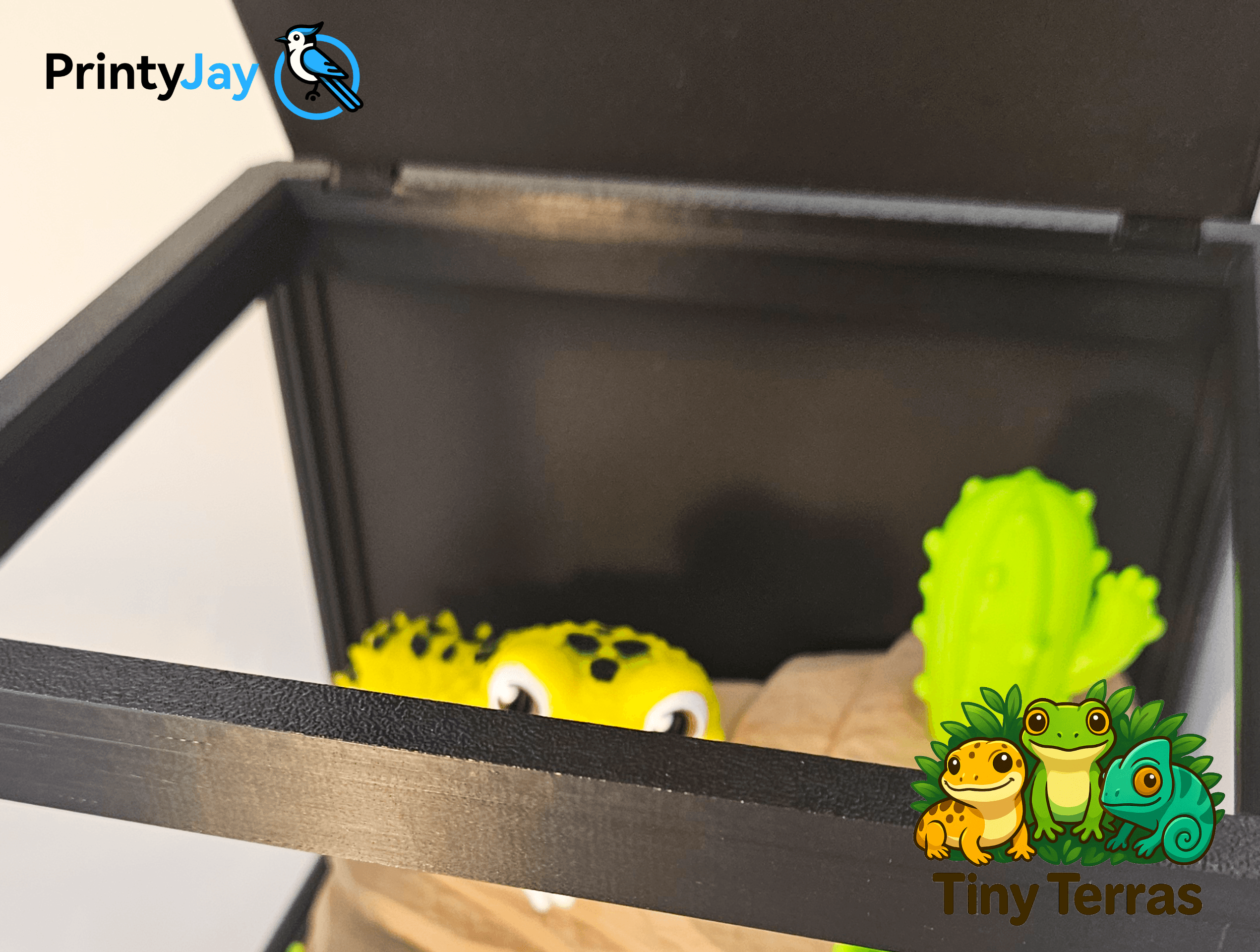 Mignon Leopard Gecko - Articulé Model - Image 5