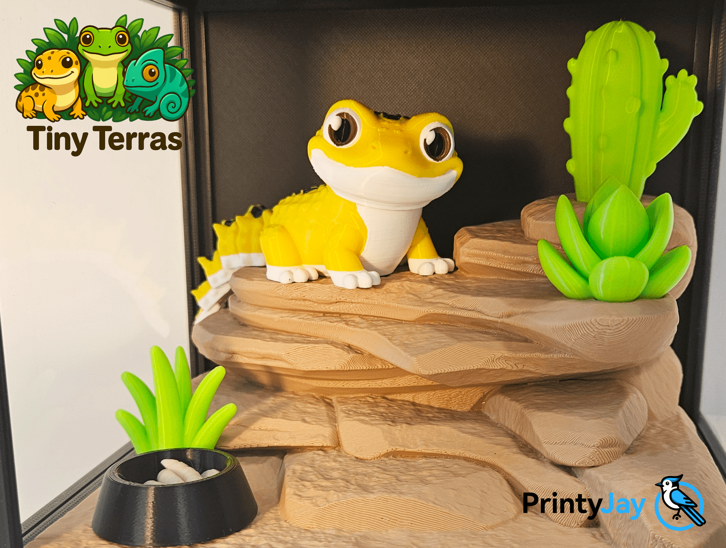Mignon Leopard Gecko - Articulé Model - Image 3