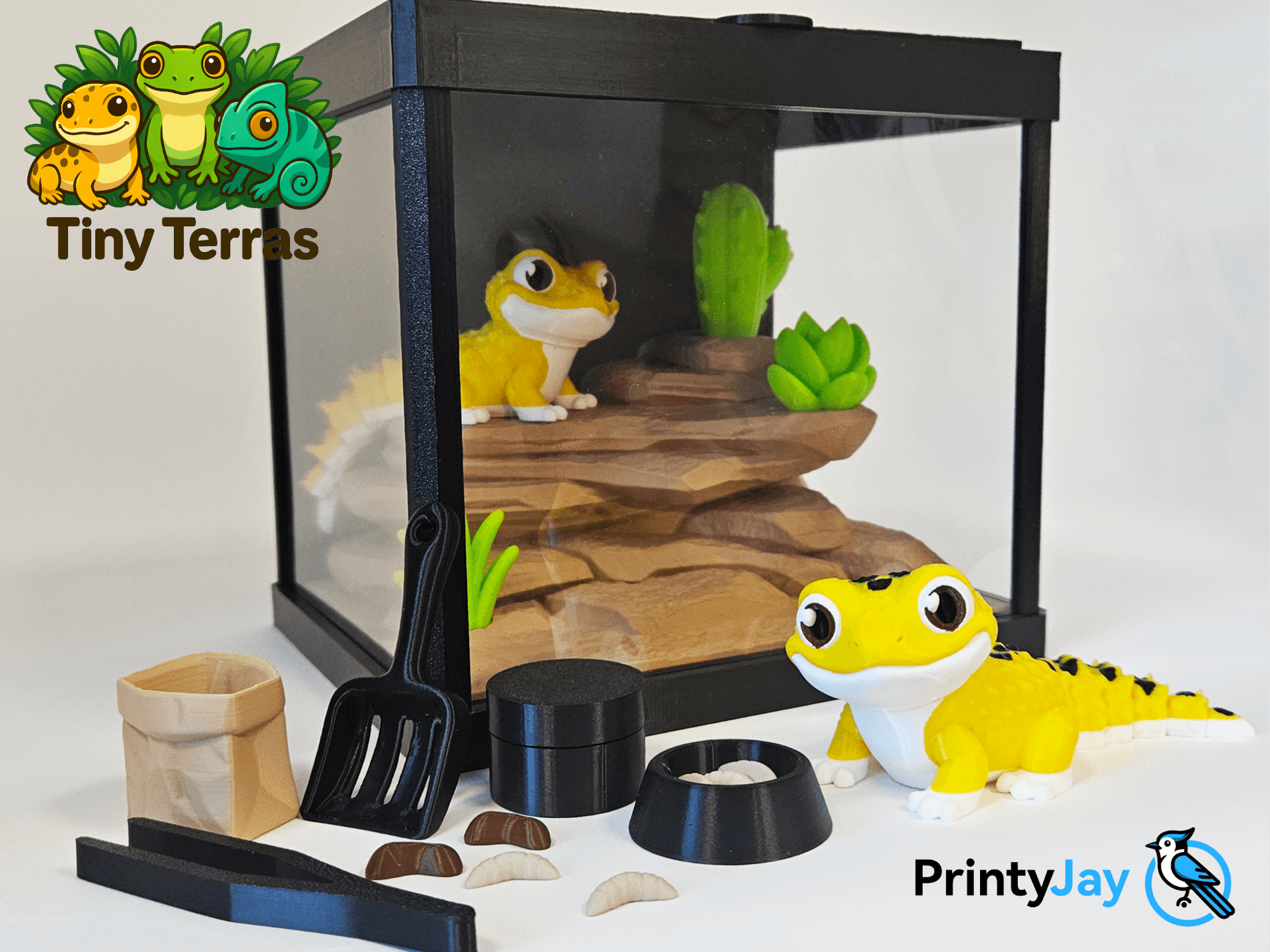 Mignon Leopard Gecko - Articulé Model