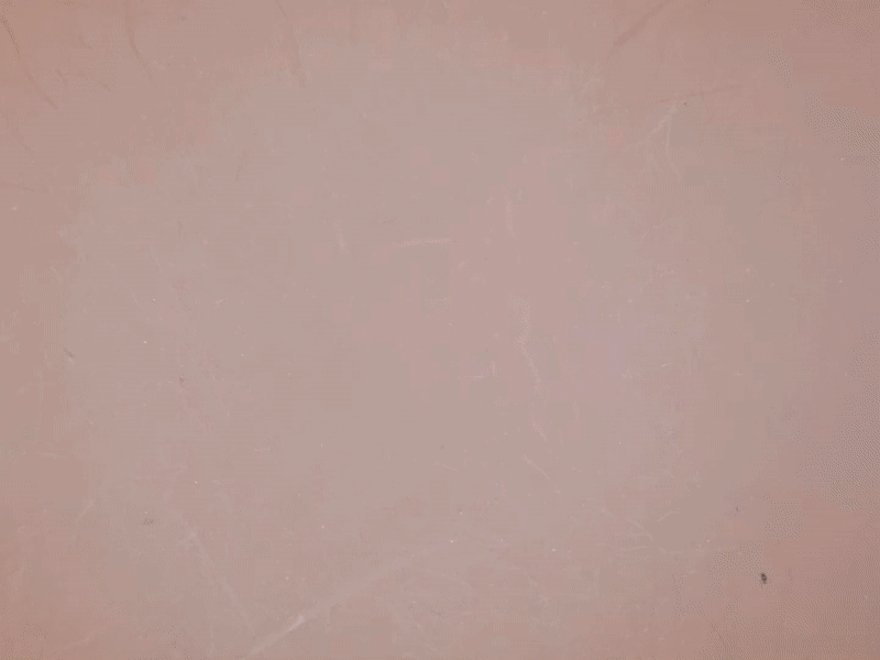 Moxxie Flexible Renard Porte-clés Fridge Magnet - Image 2