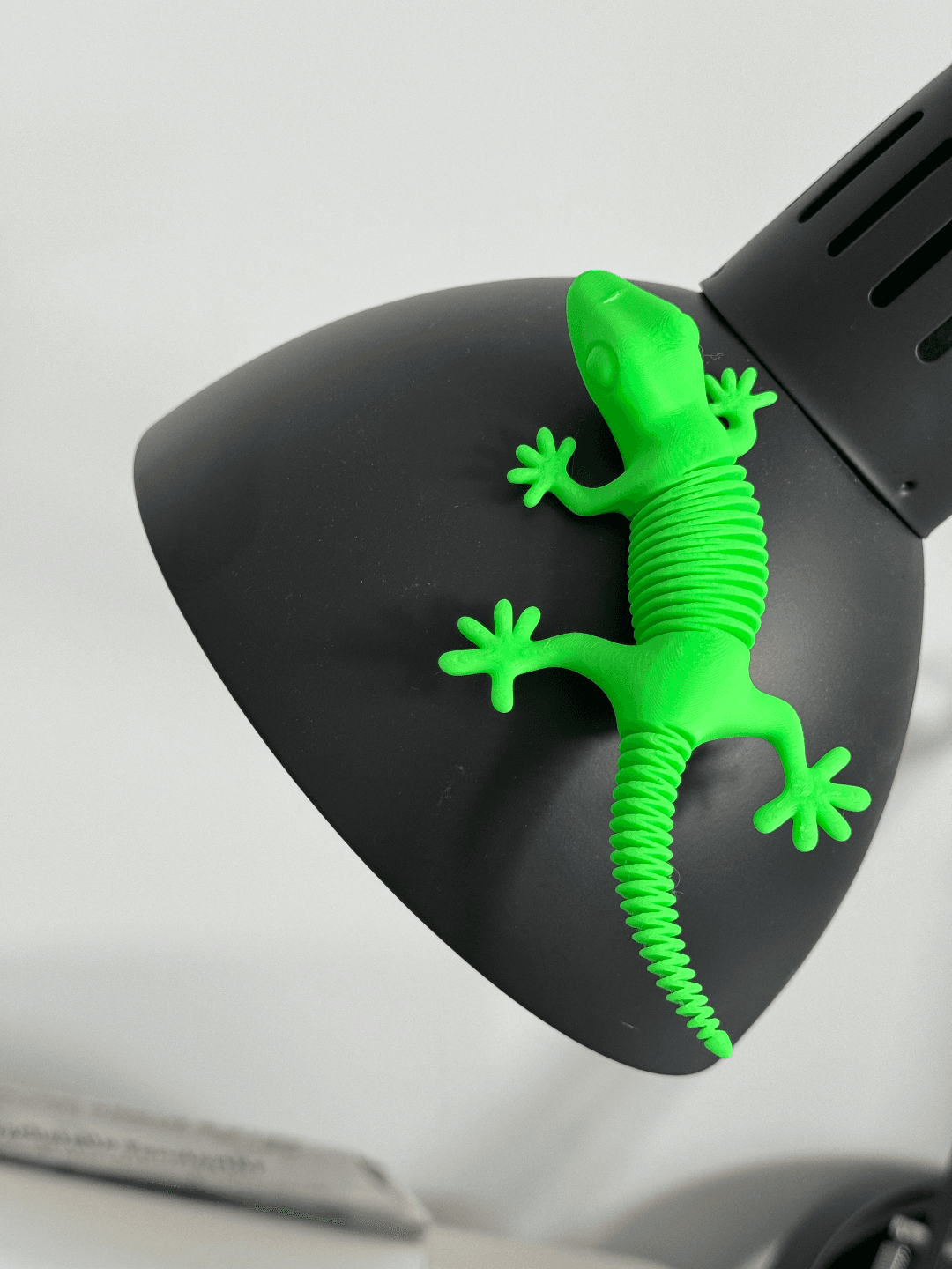 Super Magnétique Flexible Gecko