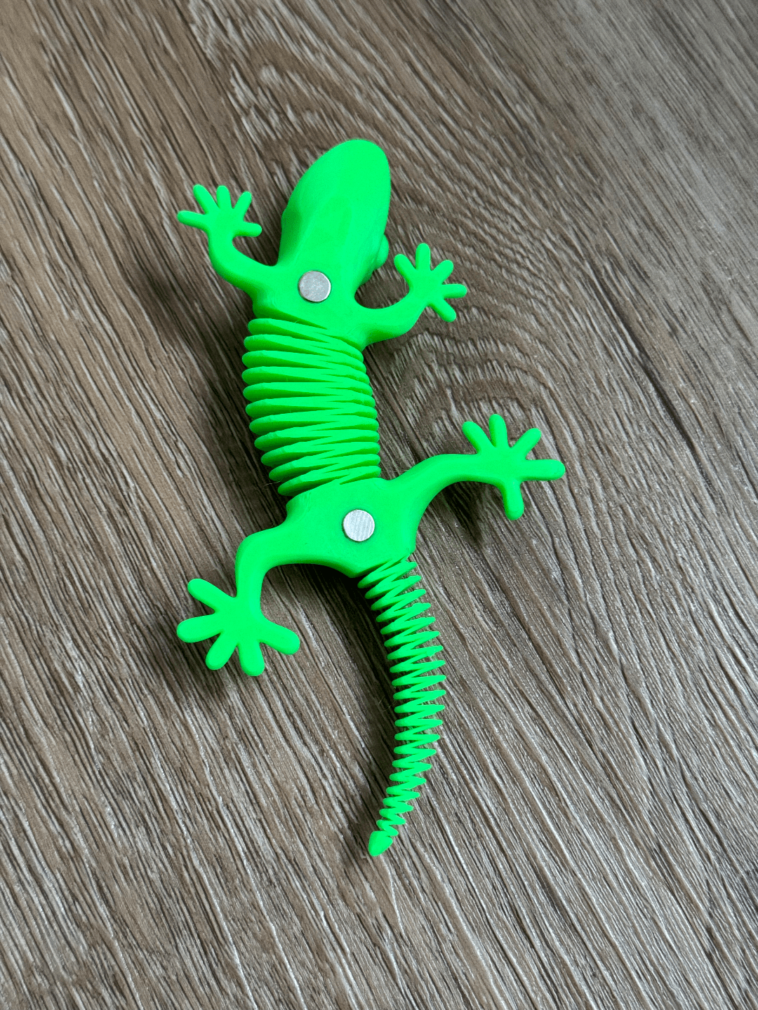 Super Magnétique Flexible Gecko - Image 3