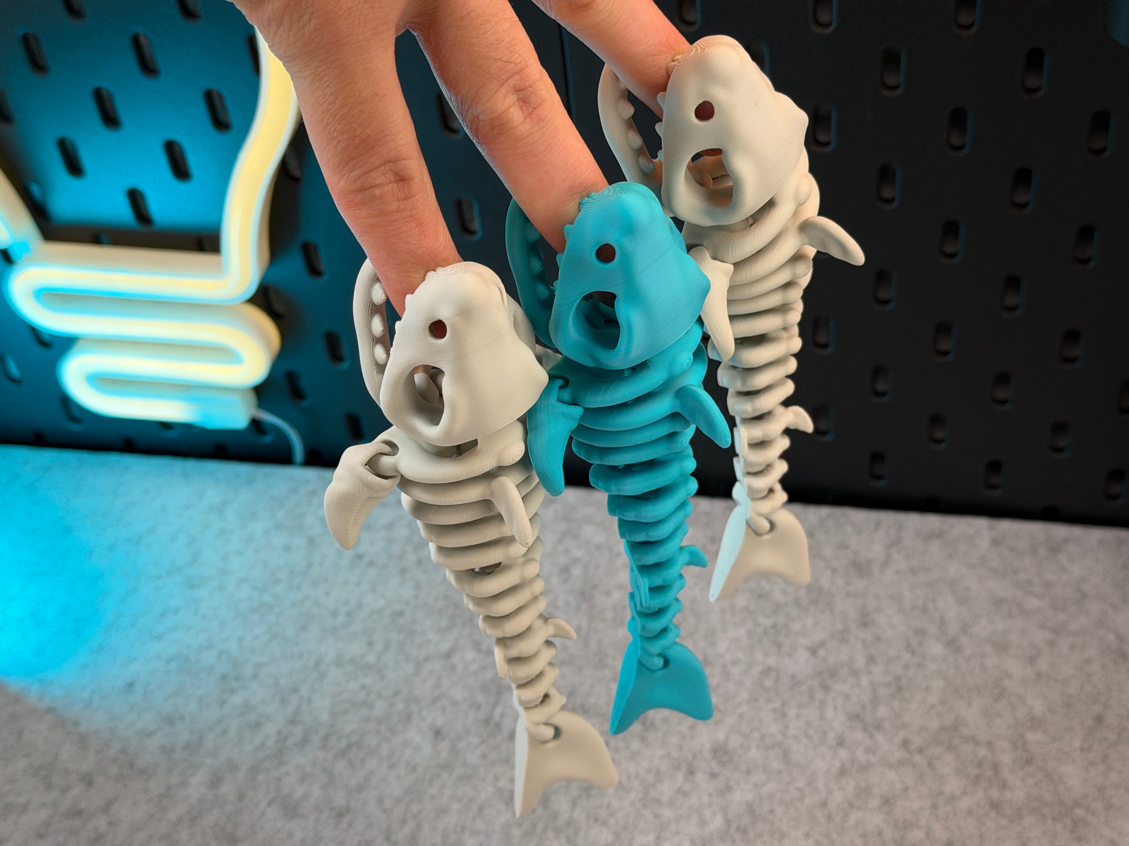 Articulé Squelette Requin - Image 3