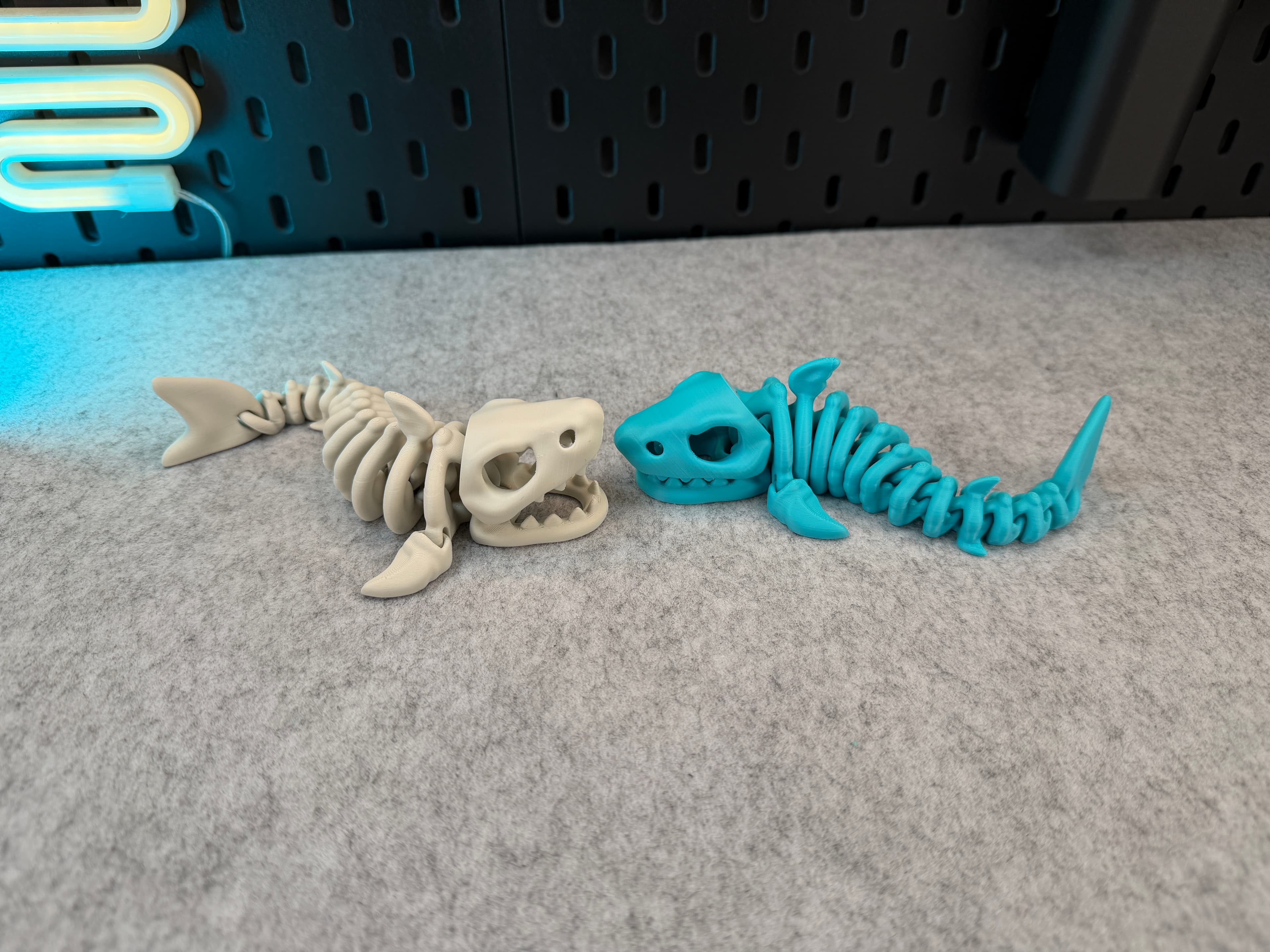 Articulé Squelette Requin - Image 4