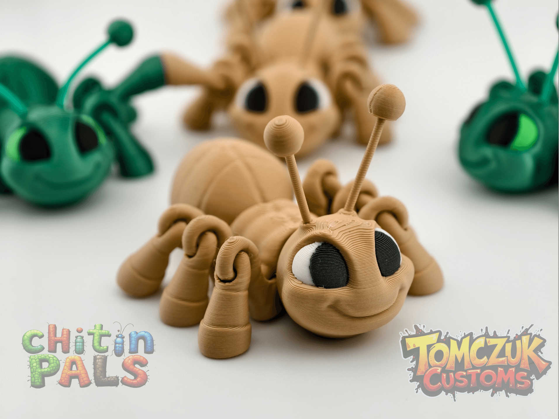 Chitin Pals Magnétique Ant