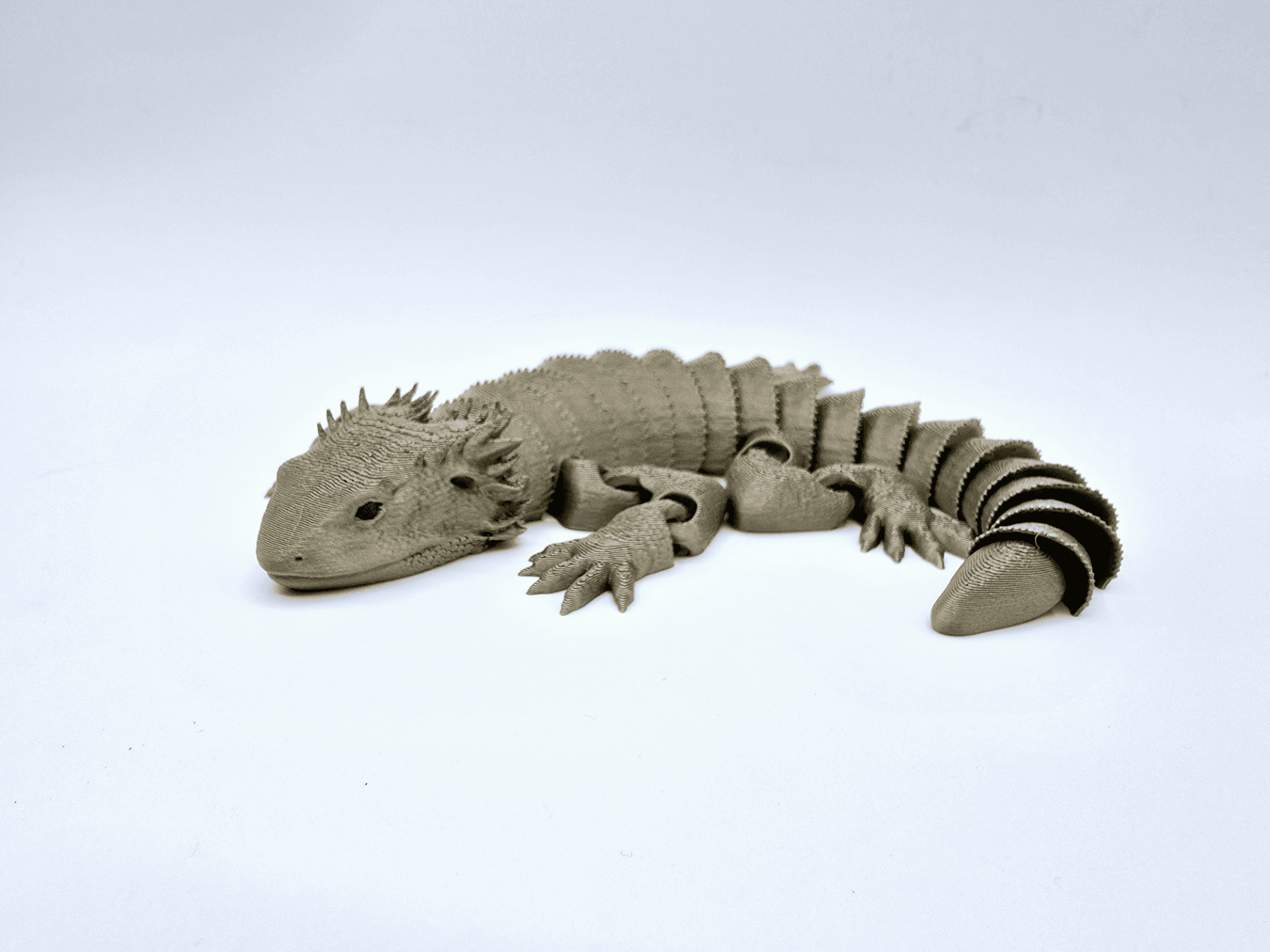 Flexible Bearded Dragon - Image 3