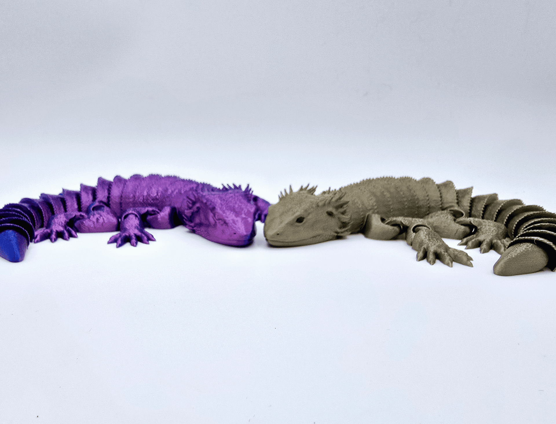 Flexible Bearded Dragon - Image 4