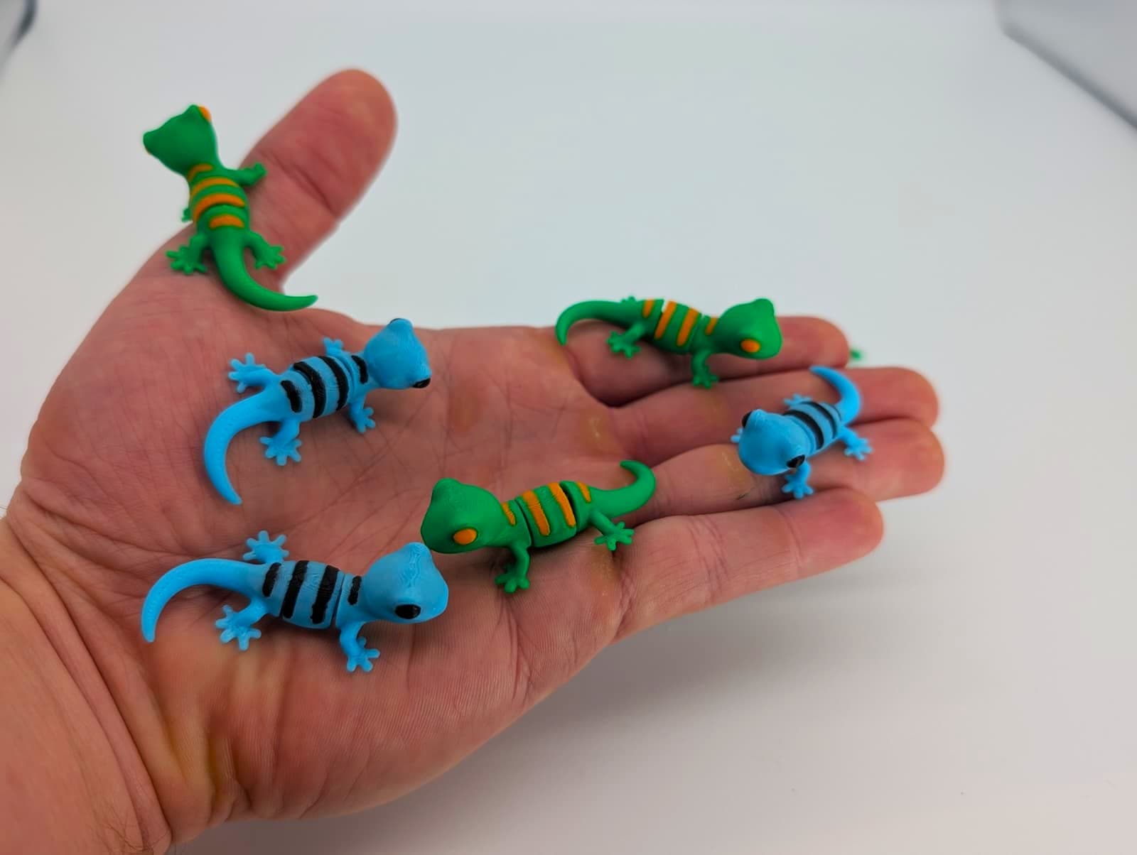 Tiny Gecko - Image 5